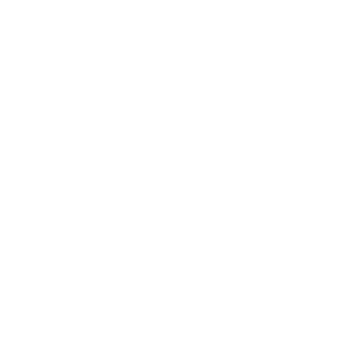Polaroid Audio